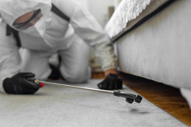Professional Bed Bug Control technician working in Moore, OK