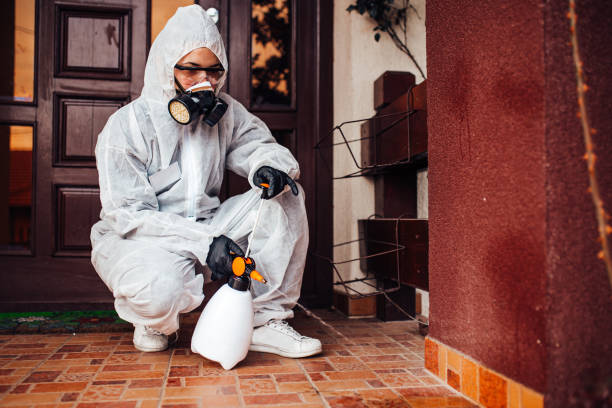 Reliable Bed Bug Control contractor in Moore, OK by Nex Pest Control