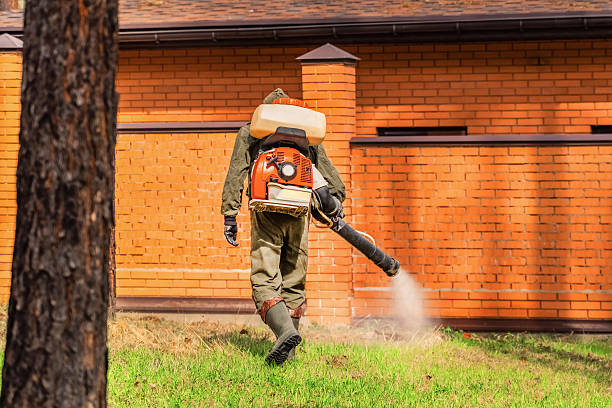 Top rated local Bed Bug Control specialists in Moore, OK